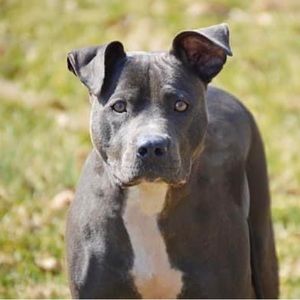 More stuff to come….see description